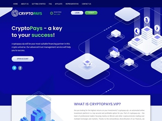 cryptopays.vip thumbnail