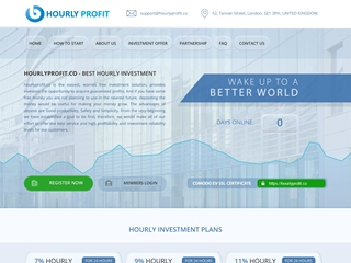 hourlyprofit.co thumbnail