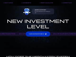 merchx.online thumbnail