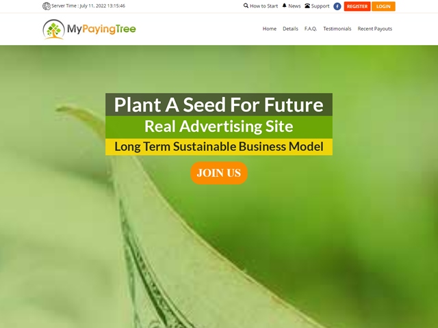 mypayingtree.com thumbnail