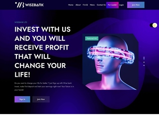 wisebank.digital thumbnail