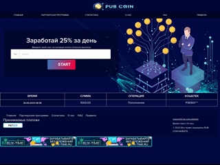 rub-coin.website thumbnail